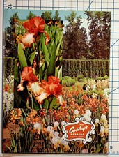 1968 Cooley's Gardens Iris Catalog Silverton Oregon Vintage Horticultural picture