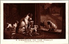 A Disgrace to the Family Dogs Postcard M. T. Sheahan Boston Antique Early 1900s picture