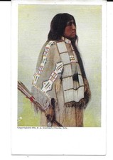 Native American 1905 F.A. Rinehart Postcards Photo Annie Red Shirt Sioux Tribe picture