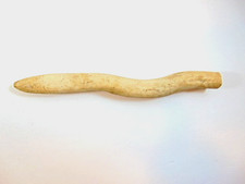ceramic Walrus oosick (os baculum) penis bone signed 
