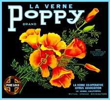 La Verne Poppy Oranges Lordsburg California Citrus Fruit Crate Label Art Print picture