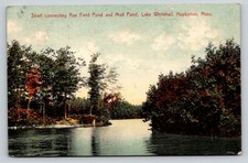 1910 Hopkinton, MA Lake Whitehall Strait Pond Vintage Postcard Germany picture