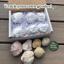 Crystal Geode Gift Set - 6 DIFFERENT Break You Own Geodes World Variety + Bonus picture