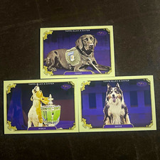 Topps 2022 Allen & Ginter Service Dogs of Sport Lot 3 Cards Tommy/Miss P/Zayne picture