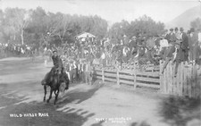 J38/ Hotchkiss Colorado RPPC Postcard c1910 Wild Horse Race Crowd 294 picture