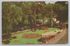 Floral Clock Taronga Zoo Sydney, Australia 1946 Postcard Postmarked to USA picture