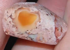 21ct Mexican Fire Opal Specimen rough/polished 25mm picture
