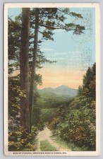 Mount Pisgah Western NC 1918 Postcard Asheville Robert Lind Southern Post Card picture