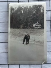 1938 Yellowstone Bear Vintage Photo Grizzly on Road Wildlife National Park picture