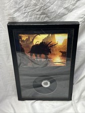 FRAMED TRICERATOPS HORRIDUS Tooth Fossil Dinosaur Tooth HELL CREEK picture