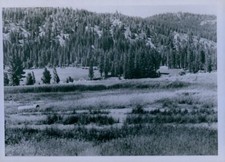 1959 Grover Hot Springs State Park CA Wood Line Press Photo picture