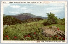 Clingman's Dome Great Smoky Mountains NC Linen Postcard Vintage AC-21 picture