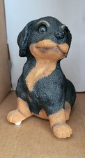 Musical Rottweiler Puppy 