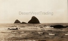 Seal Rocks Netarts Beach Netarts Oregon RPPC Postcard AZO UNP 1904-1918 picture