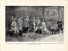 1930s Vintage Labrador Retriever Print Gundog Trials Retriever Club Print 7096h picture