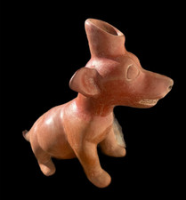 ANCIENT PRE COLUMBIAN WEST MEXICO COLIMA DOG CIRCA 100 BC   AUTHENTIC ARTIFACT picture