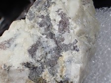 Rare Pyrargyrite on Quartz Sunshine Mine Kellogg Shoshone Co Idaho picture