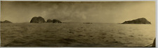 Malaysia, Vintage Print Panorama, Malaysia Silver Print 8x28 circa 1920 picture