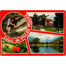 Villar Pellice Municipality in Piedmont in Italy Vintage Postcard SPP26 picture