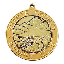 Vintage 1967 Shasta County Kennel Club Medal Award Pendant Medallion California picture
