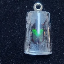Real Green Beetle Specimen Resin Pendant Taxidermy Insect Jewelry picture