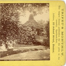 MASSACHUSETTS, Rustic Arbor, Forest Hills--Stereoview K98 picture