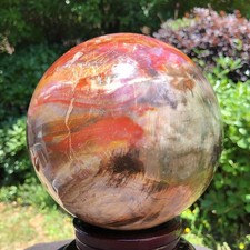 10.86LB Natural Patterns Petrified Wood Sphere Polished Crystal Ball healing picture