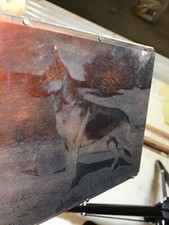 Copper Photogravure German Shepherd Ch. Lex of Dornwald Born 1947 picture