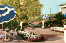 Lambert Gardens Portland Oregon Zinnia Garden c1950s Postcard picture