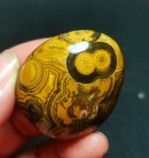 RARE 51G Natural Inner Mongolia Gobi Agate Eyes Agate/stone Healing Series R792 picture
