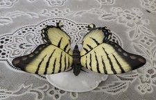 Vintage Rosenthal Figurine Classic Rose Yellow Butterfly #1835 Signed Germany picture