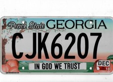 GEORGIA passenger 2018 license plate 