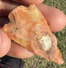 CORAL ARROWHEAD FLORIDA KILLER 1.82” AUTHENTIC DEEP SOUTH ARTIFACT picture
