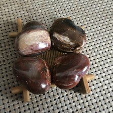 131g 4pcs NATURAL PRETTY Petrified Wood Crystal HEART Healing 9473 picture