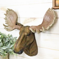 North American Granddaddy Bull Moose with Antlers Trophy Head Wall Decor 15