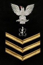 USN  RATING BADGE EW1 ELECTRONICS WARFARE TECHNICIAN PO1  E-6 GOLD BLACK MALE picture