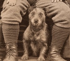 1897 Victorian Cabinet Card Family Portrait with Dog | S.H. Ellis, Hanley... picture