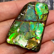 Natural Canadian Green Blue Ammolite Fossil Freeform Gemstone 45X30 MM #3040-3 picture