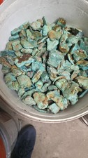 Stabilized blue-green turquoise rough (By The Pound) 1/2 Inch to 1 inch sizes picture