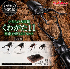 The Diversity of Life on Earth Stag Beetle 11 Stag Beetle Set online ver. 4 bugs picture