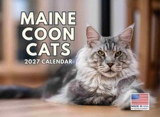Maine Coon Cat Calendar 2027 Monthly Wall Calender 12 Month 12x18 picture