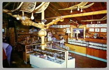 Eskimo Museum and Rock Shop Fairbanks Alaska Interior View Chrome c1960 Postcard picture
