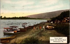 Williamsport, Pa.~Goose Island~Sylvan Dell Bathing Beach~Boats~Postcard~1911 picture