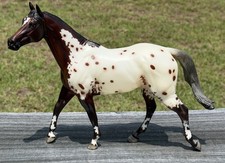 Breyer Bonne Fete BreyerFest 2014 Special Run Appaloosa Traditional Carrick Mold picture
