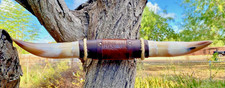 MOUNTED STEER BULL HORNS COW BOY HORN LONGHORNS 20