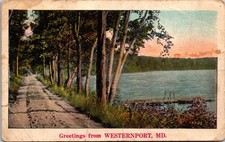 Generic Scenic Greetings Country Road Westernport Maryland MD WB Postcard XM20 picture