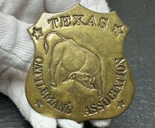 MYSTERY: TEXAS CATTLEMAN'S ASSOCIATION SHIELD PIN M583 picture