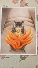 Dayan the Cat  LOT of Pictures Dayan the Cat (10) picture