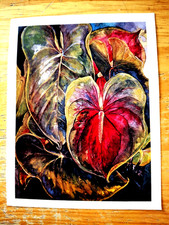 HAWAIIAN Airlines Postcard Heart of Hawaii picture