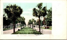Vtg Jacksonville Florida FL Main Street 1905 Detroit Publishing Postcard picture